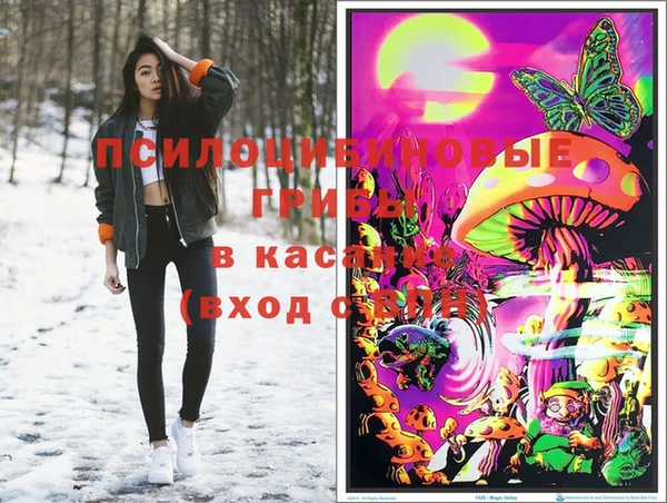СК Алзамай