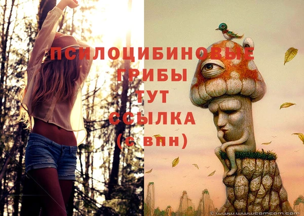 сатива Алексеевка
