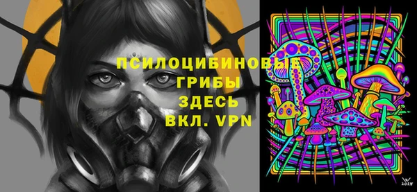 сатива Алексеевка