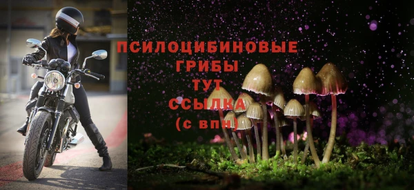 СК Алзамай