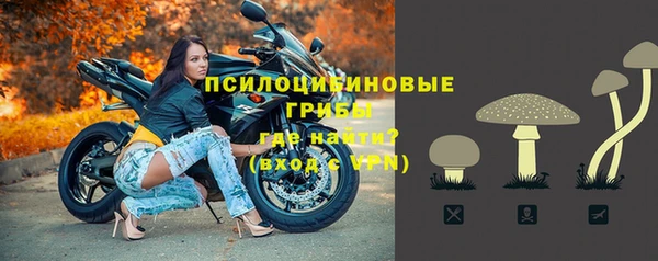 сатива Алексеевка