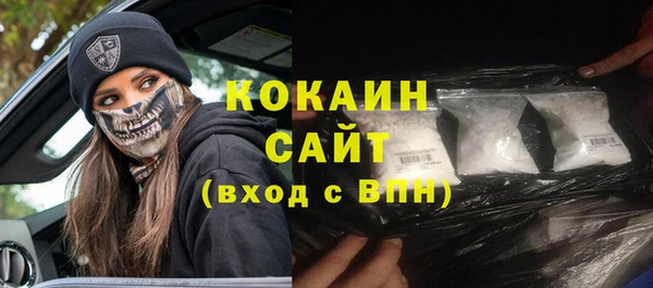 тгк Алексин