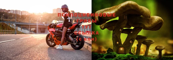 тгк Алексин