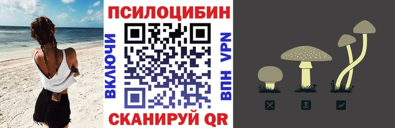 KRAKEN ссылки Красноуральск Псилоцибиновые грибы Magic Shrooms